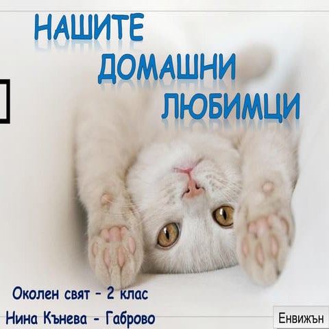Нашите домашни любимци