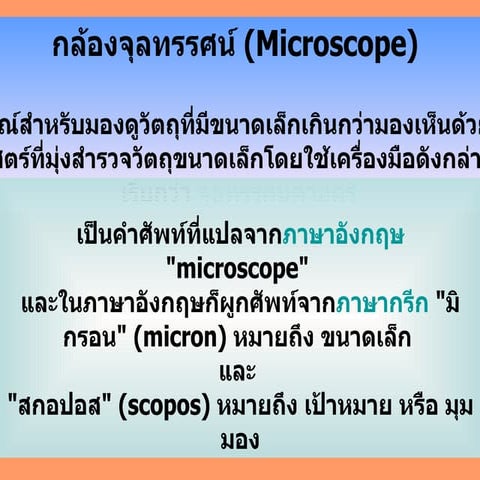 เรื่องกล้องจุลทรรศน์