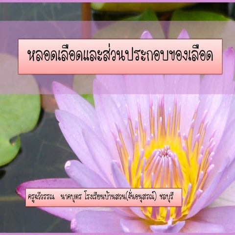 หลอดเลือดและส่วนประกอบของเลือด