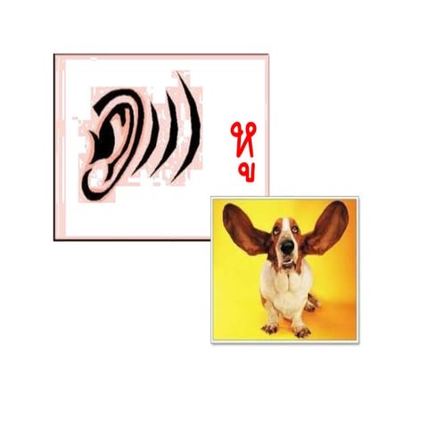 หู | PDF