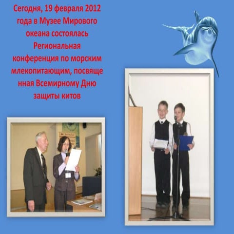 Конференция по морским млекопитающим