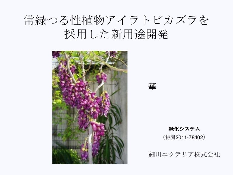パワーポイントアイラトビカズラ紹介