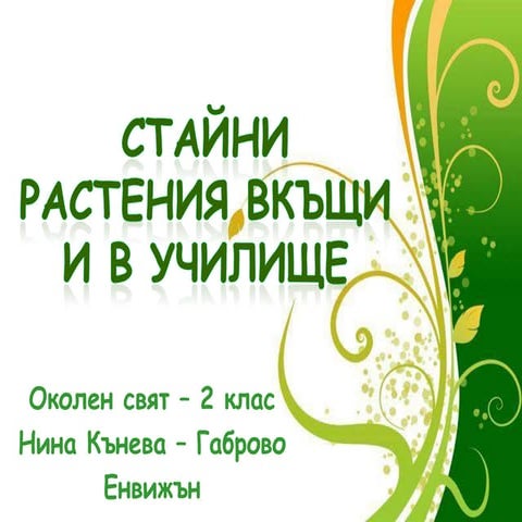 Стайни растения вкъщи и в училище