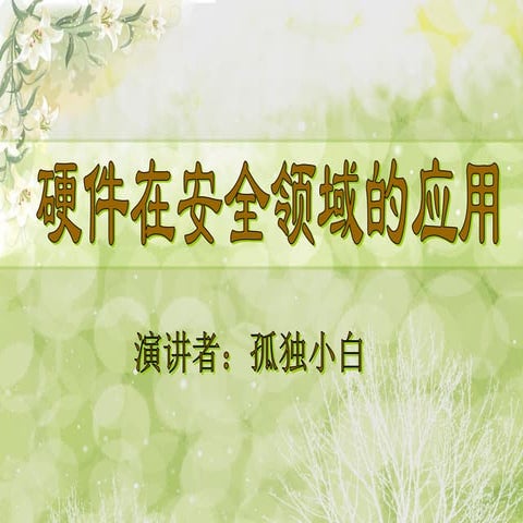 硬件在安全领域的应用