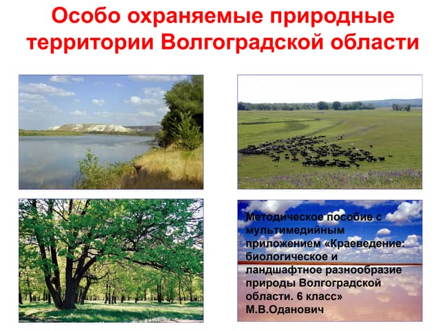 Муниципальное бюджетное дошкольное образовательное учреждение Фировский детский