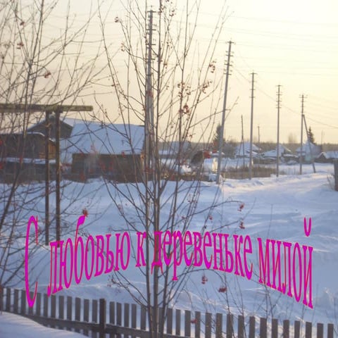 презентациягороховцева