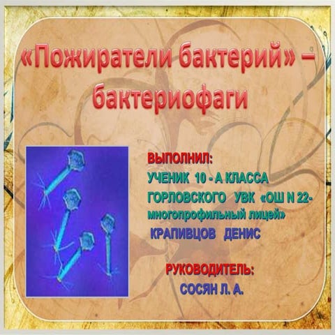 бактериофаги | PPT