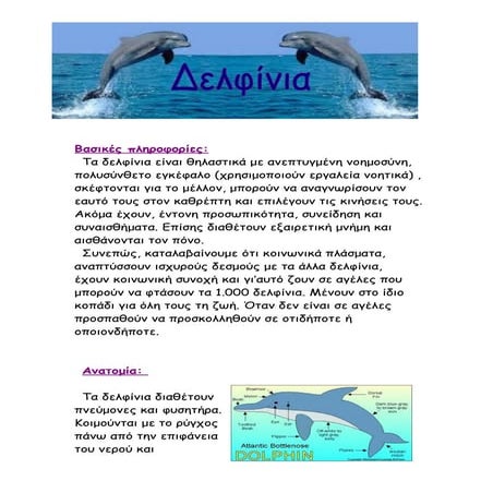 ΔΕΛΦΙΝΙΑ