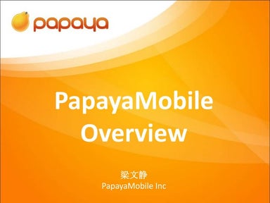 移动互联网产业分析 梁文静