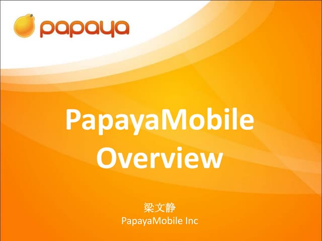 移动互联网产业分析 梁文静