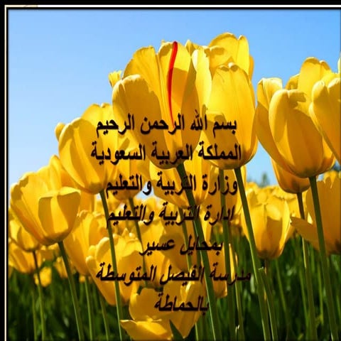 عرض تقديمي لمادة الحاسب الألي