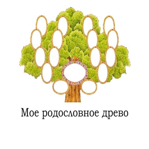 родословная | PPT