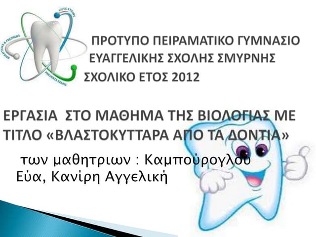 Εργασία Βιολογίας για τα βλαστοκύτταρα