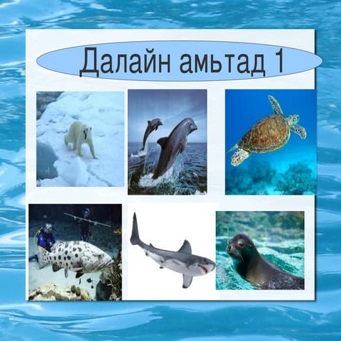 хүн орчин | PPT