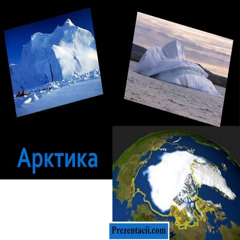 арктика | PPT
