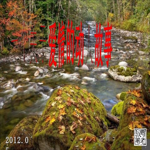 戴紅玫瑰的醜女人