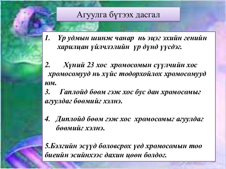 митоз мейоз