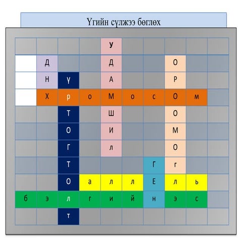 хүний хүйс тодорхойлох