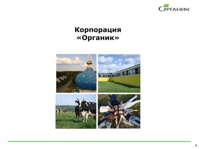 Корпорация «Органик»
