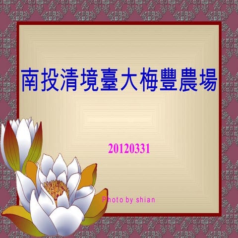 南投清境臺大梅豐農場