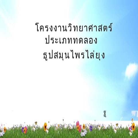 โครงงานวิทยาศาสตร์ทดลอง