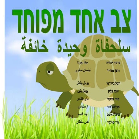 צב אחד | PDF