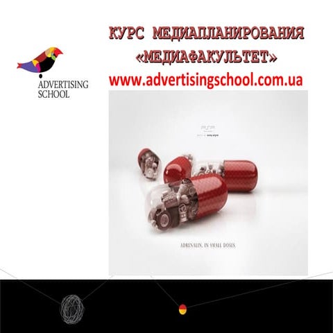 Elena Marchenko, Owner/managing director at Advertising school