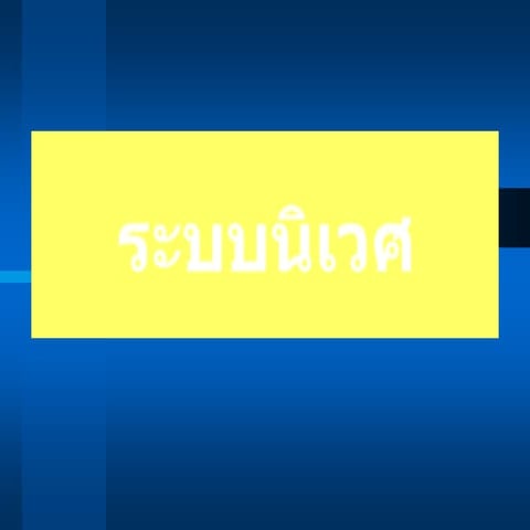 ระบบนิเวศ