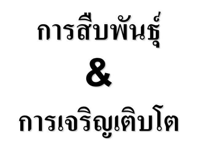 ระบบสืบพันธุ์  สอน