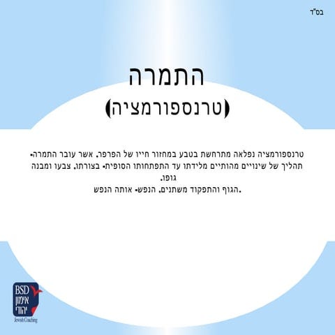 טרנספורמציה  התמרה 