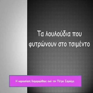 τα λουλούδια που φυτρώνουν στο τσιμ...