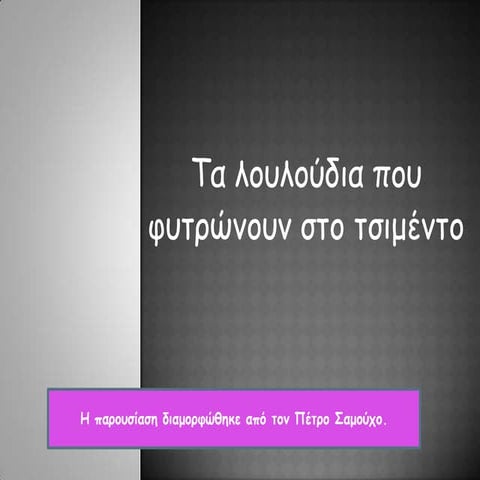 τα λουλούδια που φυτρώνουν στο τσιμέντο