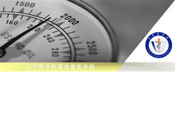 开源软件营销策略