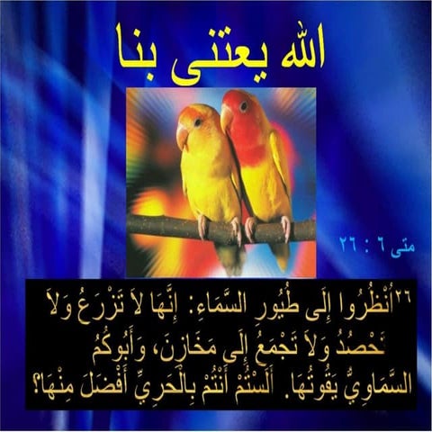 الله يعتنى بنا