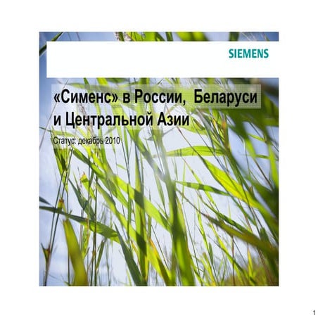 SIEMENS (Belarus)