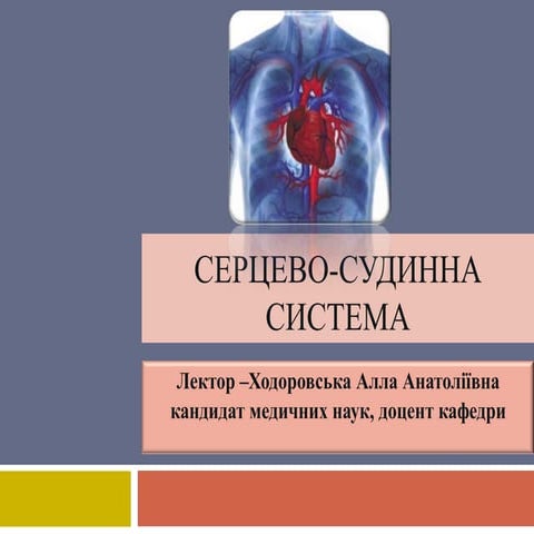 Гістологія органів серцево-судинної системи