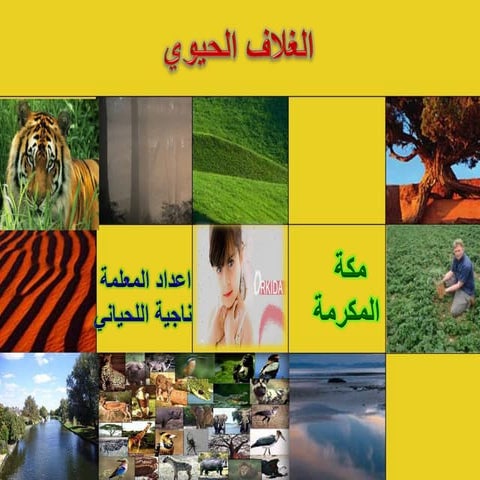 الغلاف الحيوي