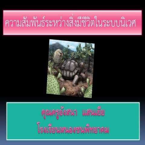 ความสัมพันธ์ของสิ่งมีชีวิต