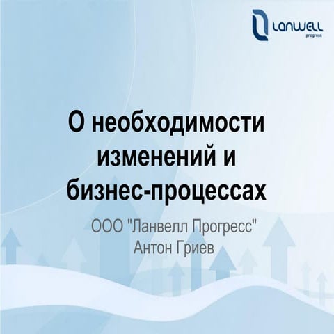 Общая презентация оптимизация бизнес процессов и бизнес-стратегии Lanwell Pro...