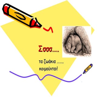 τα ζωακια κοιμουνται