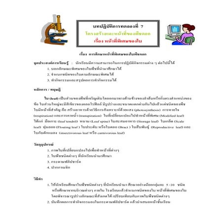 หน้าที่พิเศษของใบ