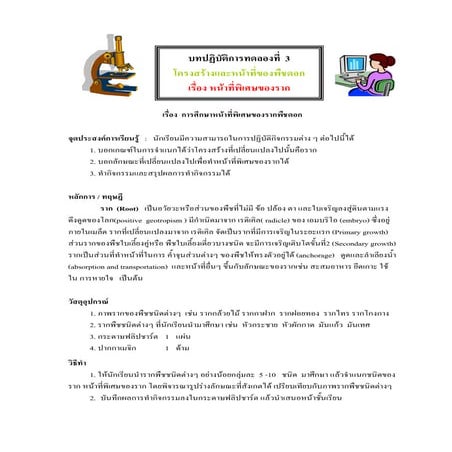 หน้าที่พิเศษของราก