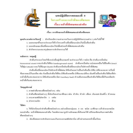 หน้าที่พิเศษของลำต้น