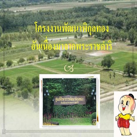โครงงานพัฒนาพิกุลทอง