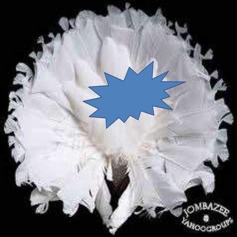 طيور الزينة