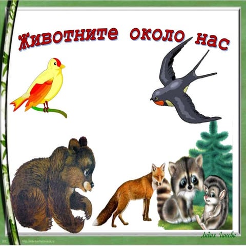 животните около нас