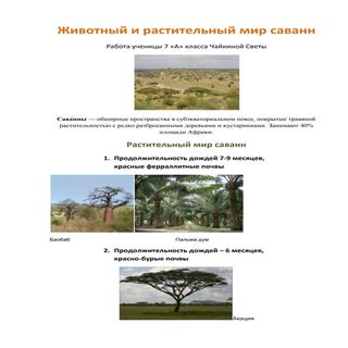 чайкина света. животный и раститель...