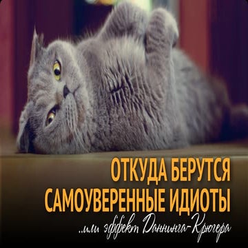 Self-confident IDIOTS