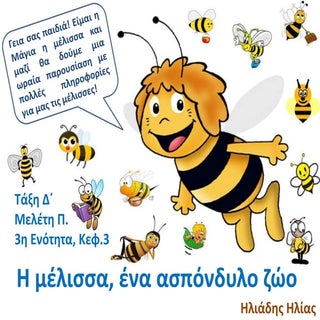 Η μέλισσα, ένα ασπόνδυλο ζώο / Σπον...