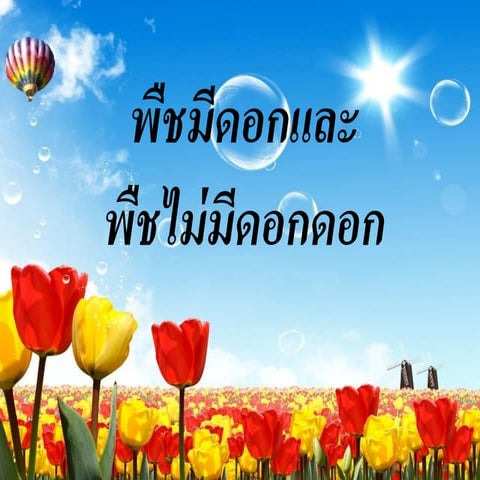 พืชมีดอกและพืชไร้ดอก